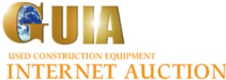 GUIA INTERNET AUCTION